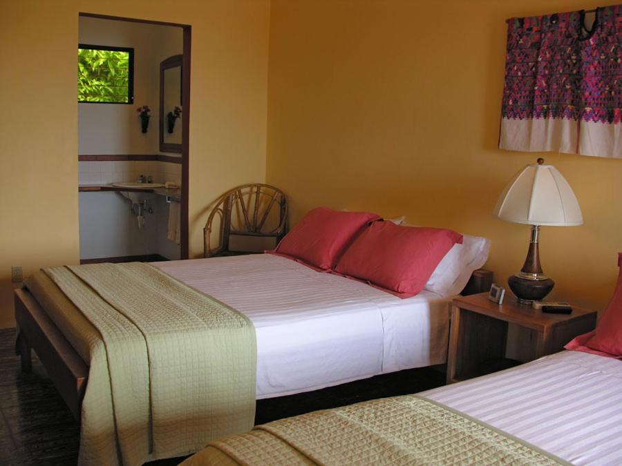 Coral House Panzió Punta Gorda Kültér fotó