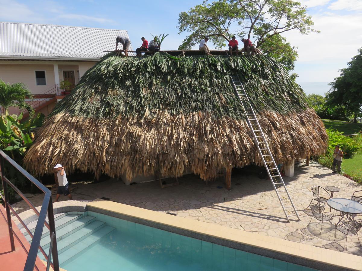 Coral House Panzió Punta Gorda Kültér fotó