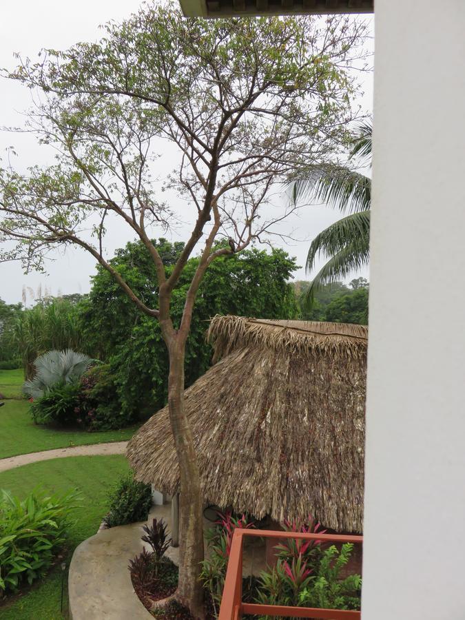 Coral House Panzió Punta Gorda Kültér fotó